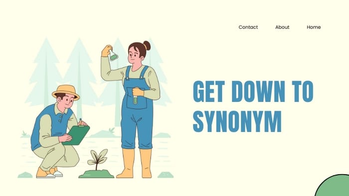 Get down to là một phrasal verb mang nghĩa bắt đầu làm một việc gì đó nghiêm túc, tập trung