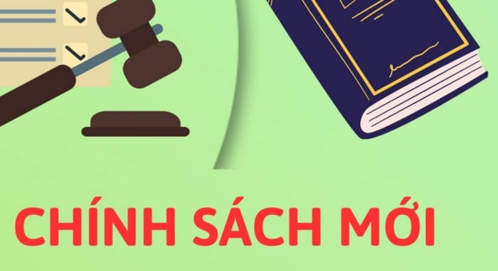 Bring in sẽ mang nghĩa giới thiệu và chính thức đưa vào áp dụng một điều luật, quy định mới