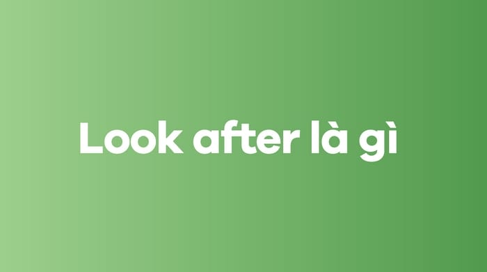 Look after là gì?