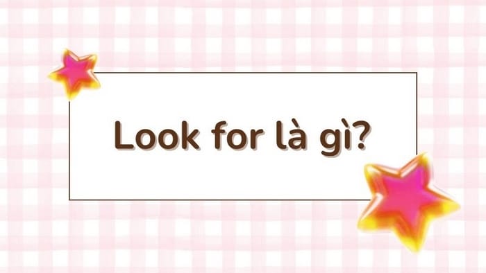 Look for là gì?