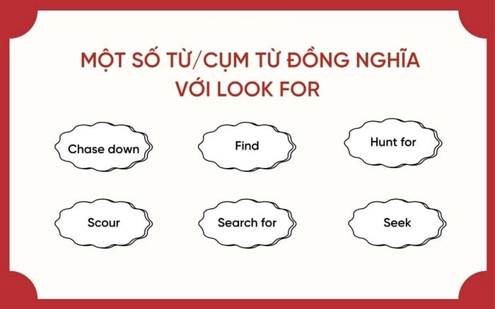 Một số từ/cụm từ đồng nghĩa với Look for