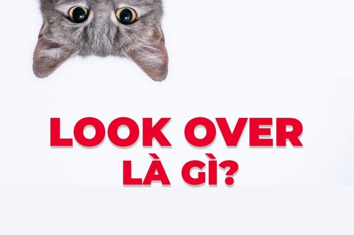Look over là gì