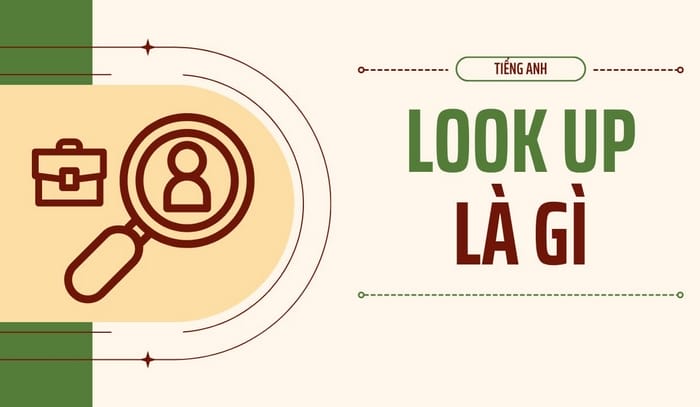 Giải mã Look up là gì và phân biệt với các cụm từ dễ nhầm lẫn