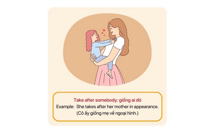 Take after được sử dụng phổ biến nhất để mô tả ngoại hình giống nhau giữa các thành viên trong gia đình