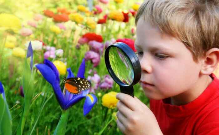 Take in có thể dùng để thể hiện cảm nhận, trải nghiệm, chiêm ngưỡng,... hiện tượng gì đó