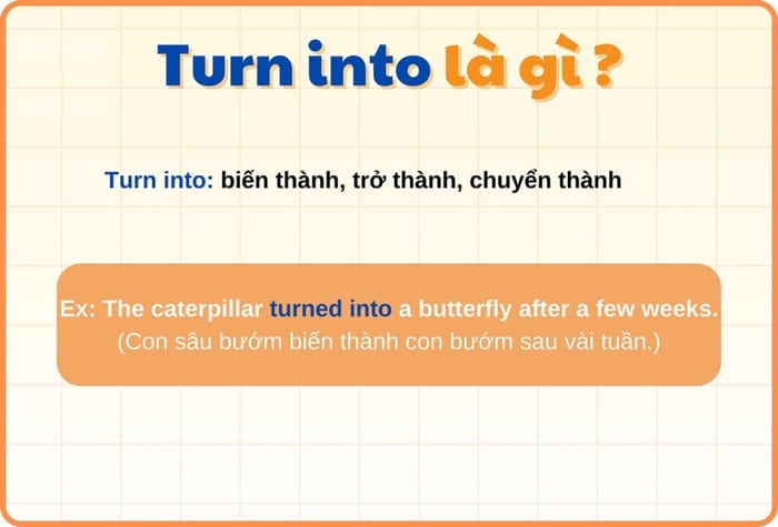 Turn into là một phrasal verb, được dùng để diễn tả: một người/vật/tình huống thay đổi nhiều so với trạng thái ban đầu
