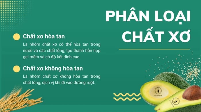 Chất xơ là carbohydrate từ thực vật hỗ trợ nhiều chức năng quan trọng trong cơ thể, có hai loại chính