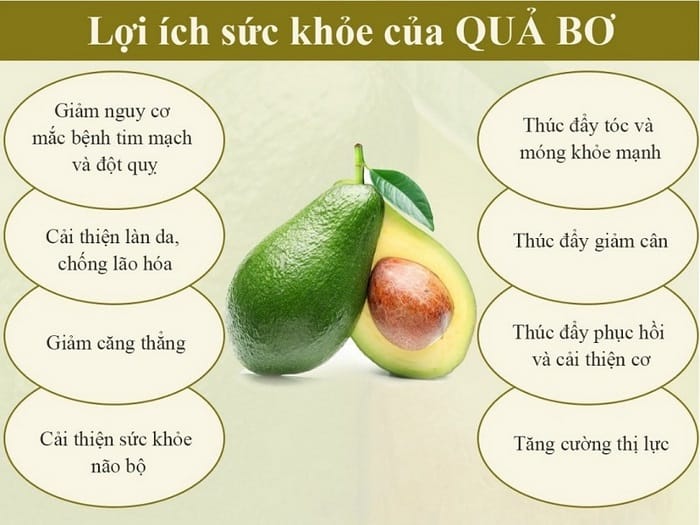 Ăn bơ để cung cấp nhiều chất xơ và kali, vitamin E và các chất chống oxy hóa