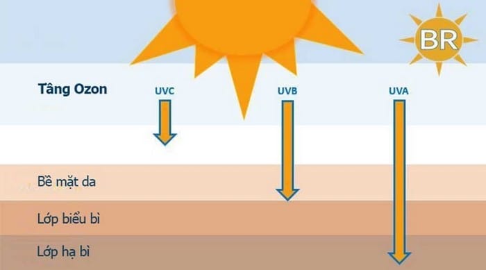 Tia UVC có năng lượng cao nhất và nguy hiểm nhất nhưng ít bị ảnh hưởng