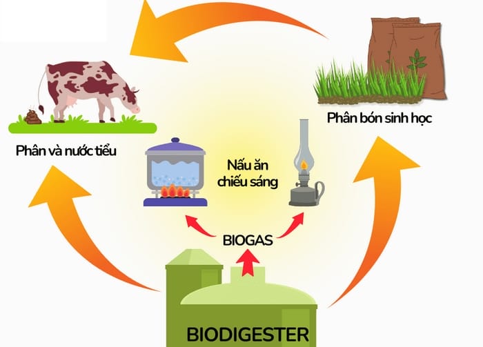 Sơ đồ quy trình tạo ra gas sinh học (biogas) phân hủy từ chất hữu cơ