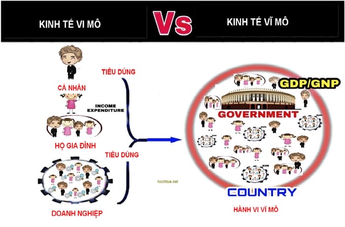 Kinh tế vi mô nghiên cứu các cá thể kinh doanh để ra quyết định liên quan đến tiêu dùng và sản xuất