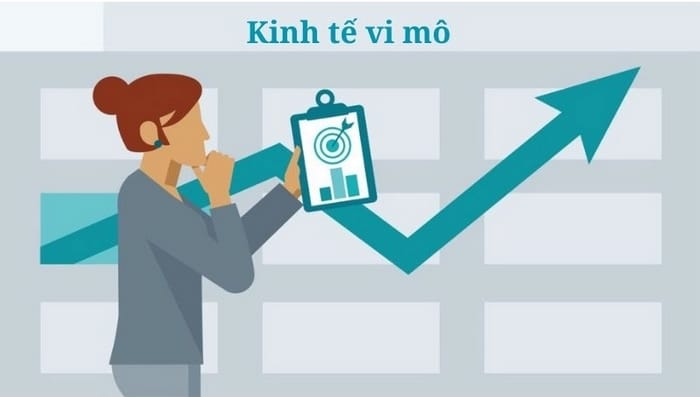 Nắm rõ kinh tế vi mô là gì sẽ như áp dụng vào thực tế kinh doanh hiệu quả hơn