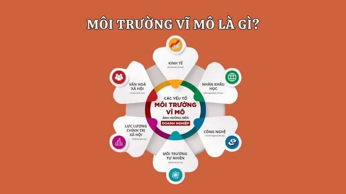 Kinh tế vĩ mô nghiên cứu các vấn đề mang tính tổng thể của toàn bộ nền kinh tế