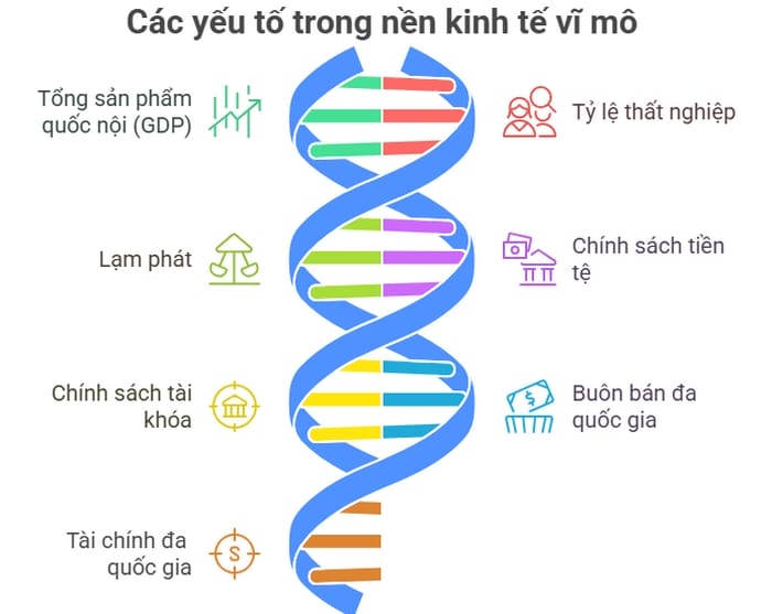 Các yếu tố quan trọng ảnh hưởng sâu đến trong kinh tế vĩ mô