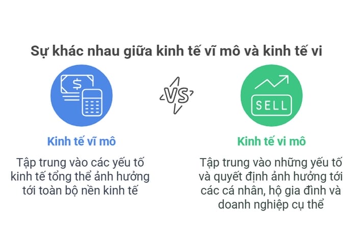 Sự khác biệt của kinh tế vĩ mô và kinh tế vi mô
