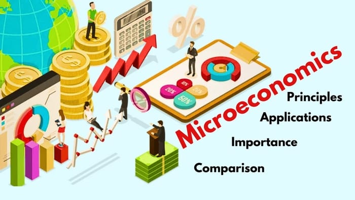Môn kinh tế vi mô tiếng Anh là Microeconomics phân tích từng phần nhỏ của nền kinh tế thay vì toàn bộ hệ thống