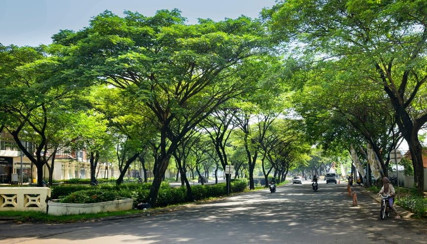 Cách ghi nhớ và sử dụng từ đúng hoàn cảnh