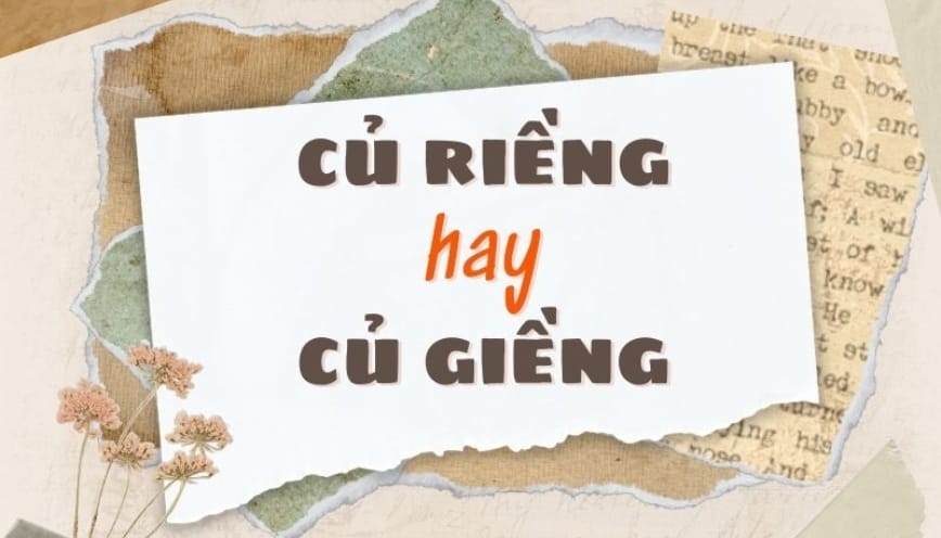 Giải thích: củ riềng hay củ giềng là từ đúng
