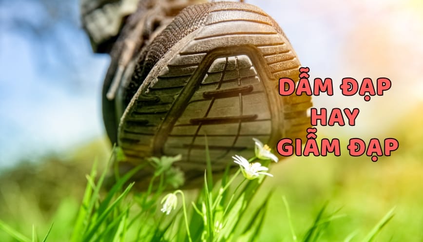 Không xét nghĩa của “giẫm”