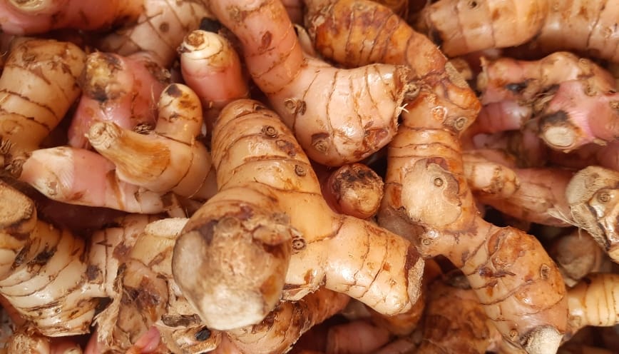 Tìm hiểu về củ riềng