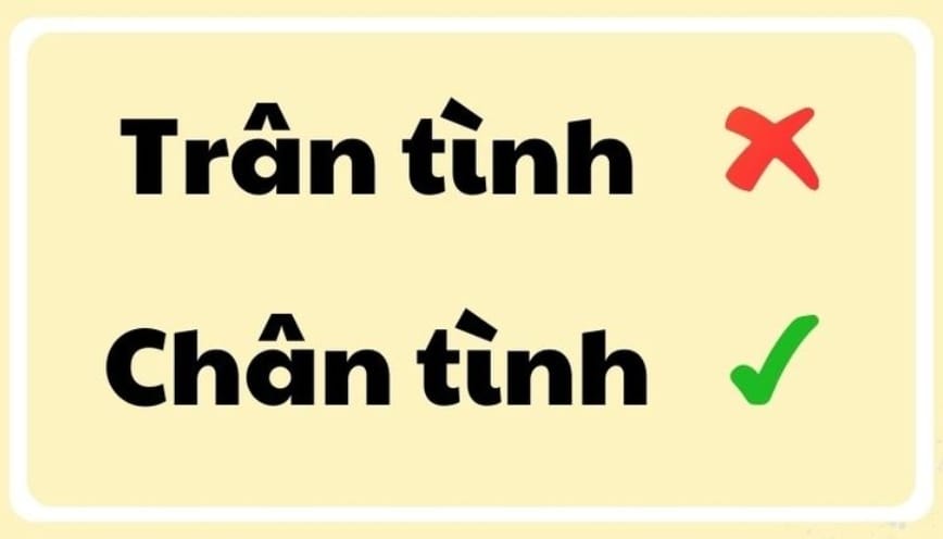 Trân tình hay chân tình đâu là cách viết đúng