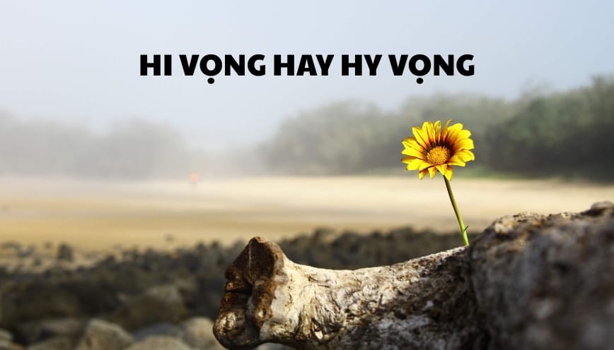 Vì sao có sự nhầm lẫn giữa hi vọng hay hy vọng