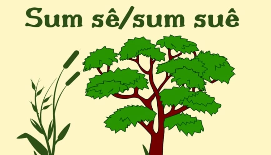 Vì sao hai cách viết cùng xuất hiện