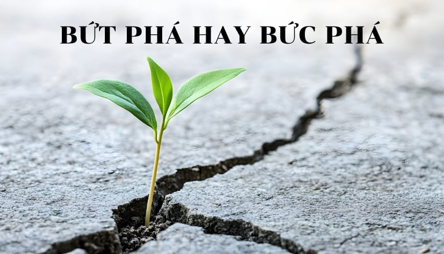 Ý nghĩa và cách dùng của bức phá