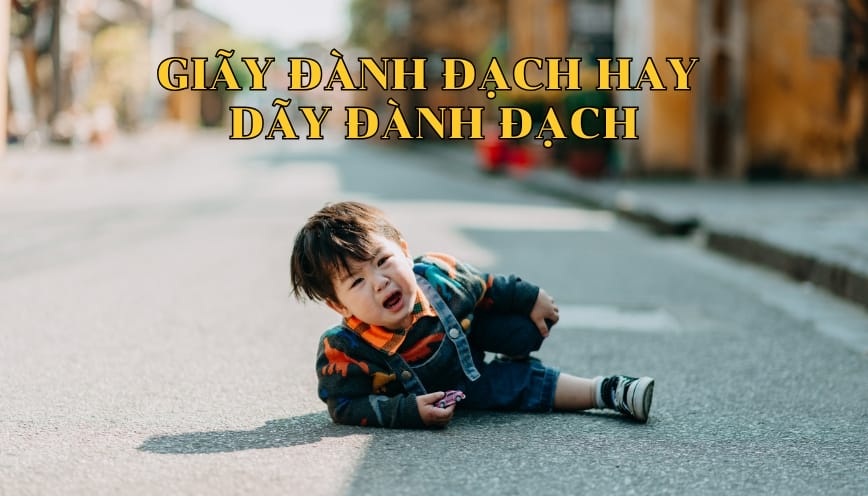 Ý nghĩa và cách dùng của dãy đành đạch