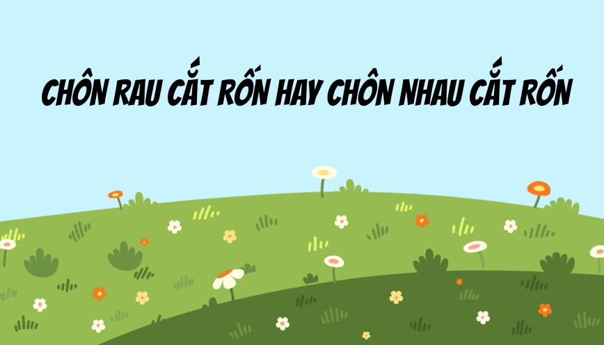 Cách sử dụng qua những câu mẫu