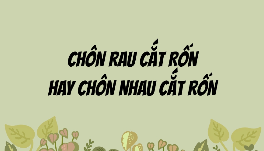Các trường hợp dùng câu thành ngữ phù hợp