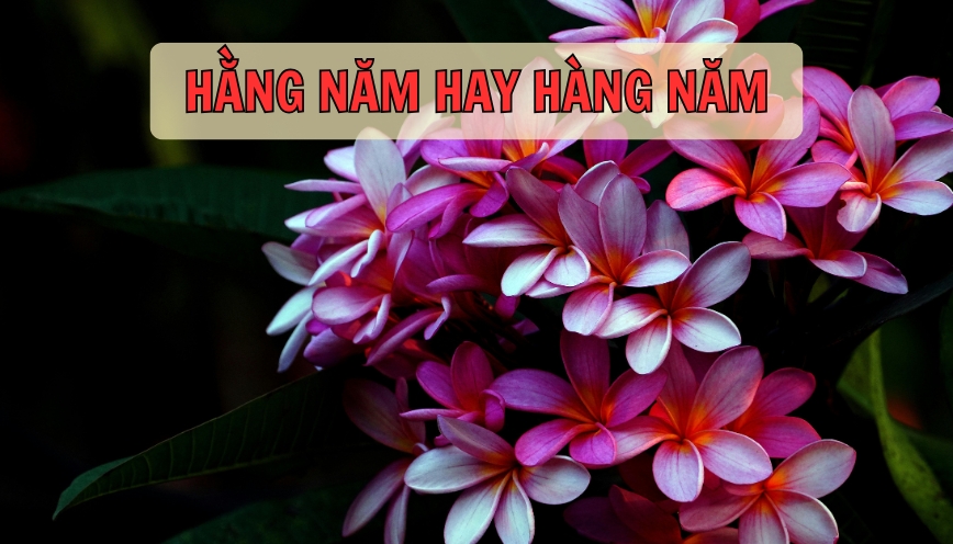 Hai từ dễ lẫn vì âm gần nhau