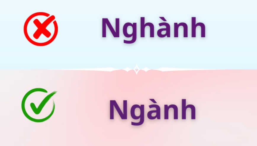 Cách sử dụng ngành qua câu mẫu