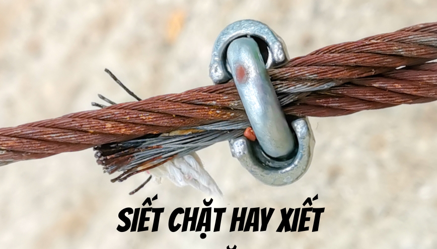 Biến thể xuất hiện trong tài liệu