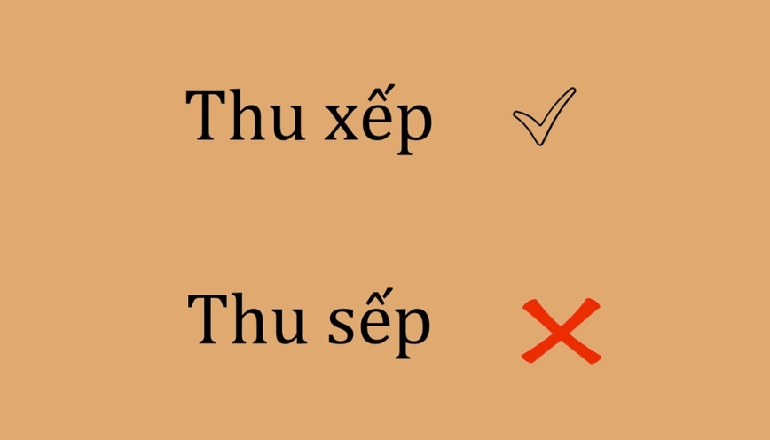 Thu xếp hay thu sếp, từ nào đúng khi viết?